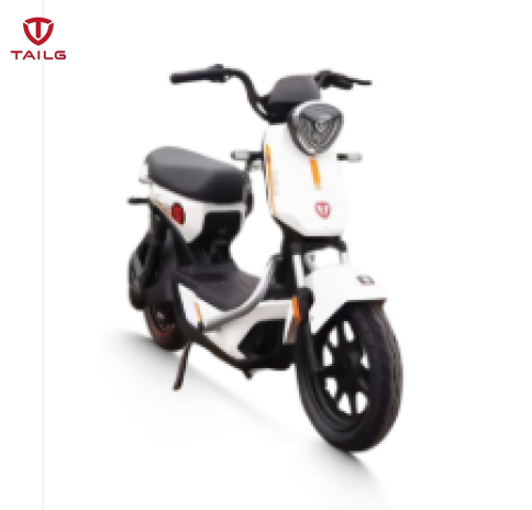 Xe đạp điện TAILG GX30