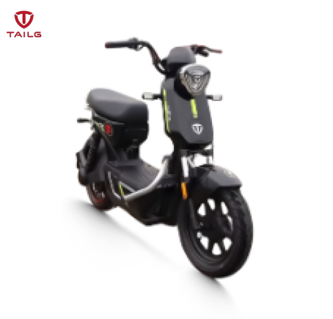 Xe đạp điện TAILG GX30