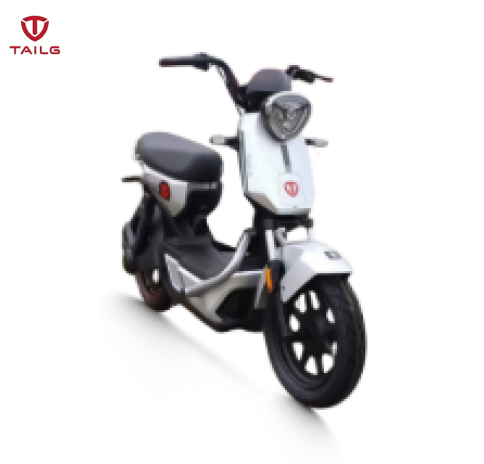 Xe đạp điện TAILG GX30