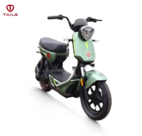 Xe đạp điện TAILG GX30