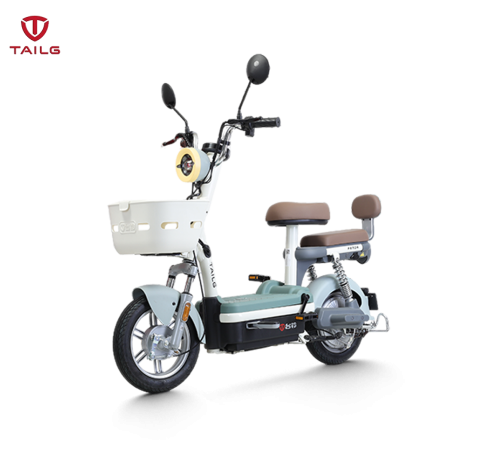 XE ĐẠP ĐIỆN TAILG JY33