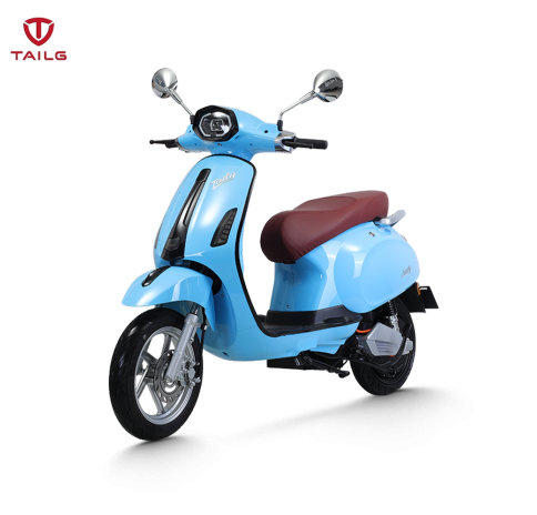XE MÁY ĐIỆN TAILG R52