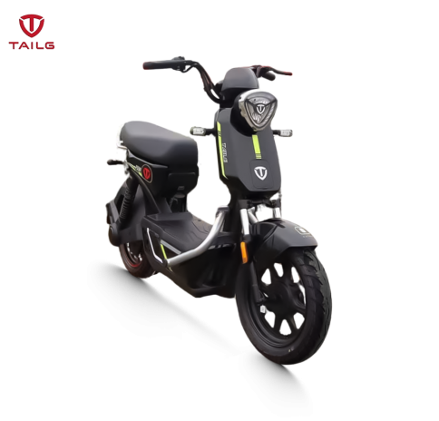 XE MÁY ĐIỆN TAILG GX30