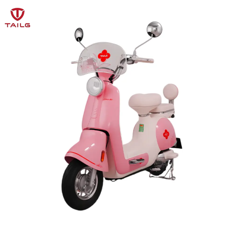 XE MÁY ĐIỆN TAILG JS50