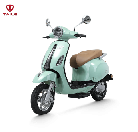 XE MÁY ĐIỆN TAILG R51