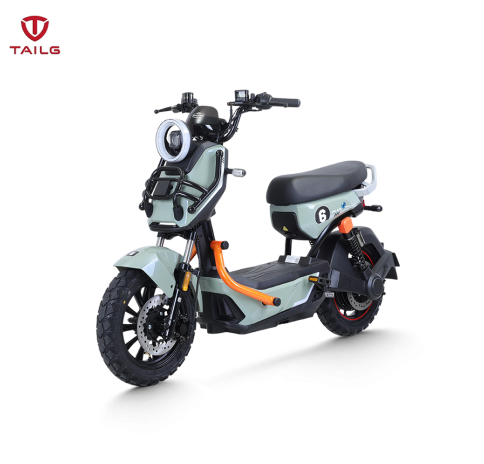 XE ĐẠP ĐIỆN TAILG X51