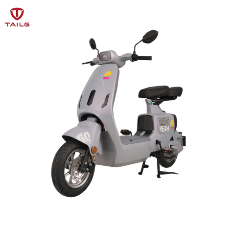 XE ĐẠP ĐIỆN TAILG GR55