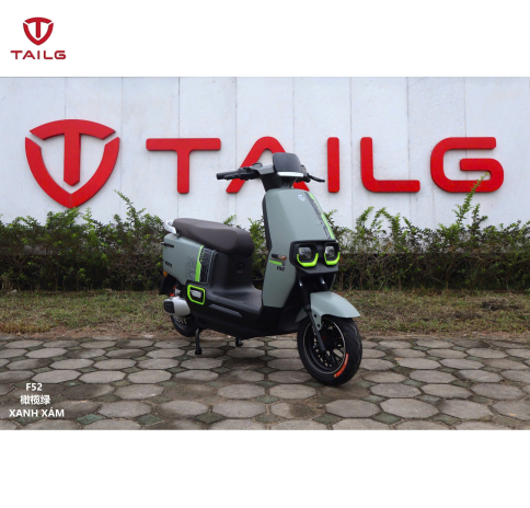 XE MÁY ĐIỆN TAILG F52