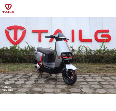 XE MÁY ĐIỆN TAILG F52