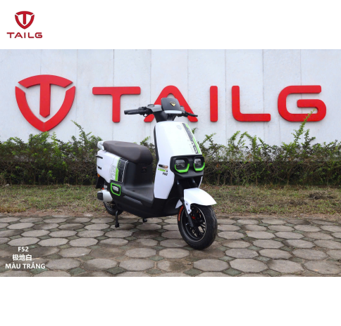 XE MÁY ĐIỆN TAILG F52