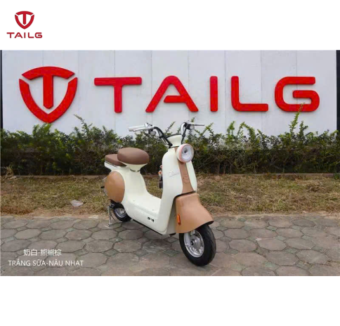XE MÁY ĐIỆN TAILG JS50