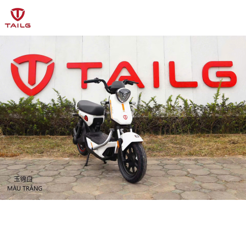 XE MÁY ĐIỆN TAILG GX30