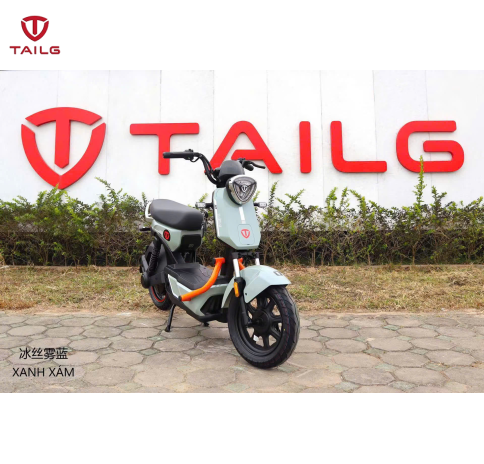 XE MÁY ĐIỆN TAILG GX30