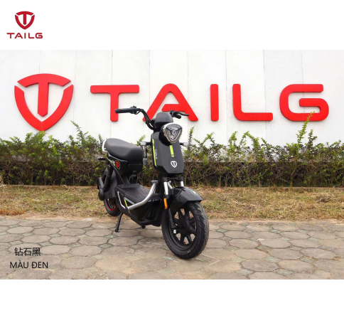 XE MÁY ĐIỆN TAILG GX30