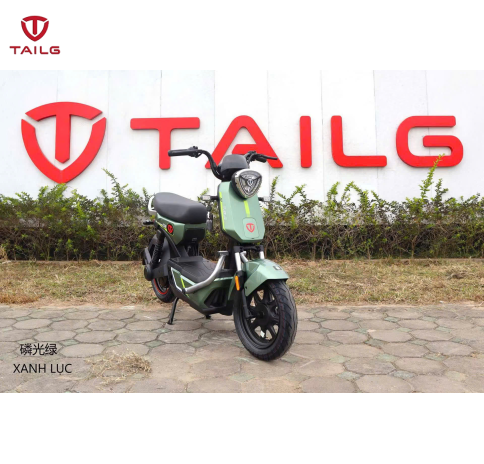 XE MÁY ĐIỆN TAILG GX30