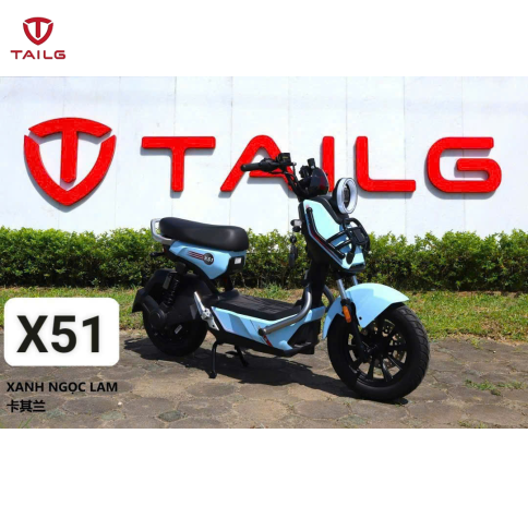 XE ĐẠP ĐIỆN TAILG X51