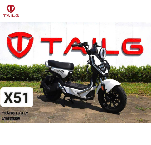 XE ĐẠP ĐIỆN TAILG X51