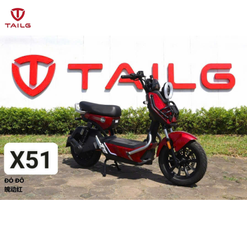 XE ĐẠP ĐIỆN TAILG X51