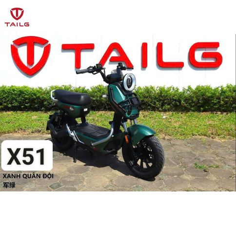 XE ĐẠP ĐIỆN TAILG X51