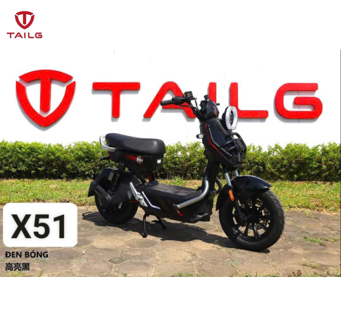 XE ĐẠP ĐIỆN TAILG X51