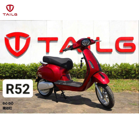 XE MÁY ĐIỆN TAILG R52