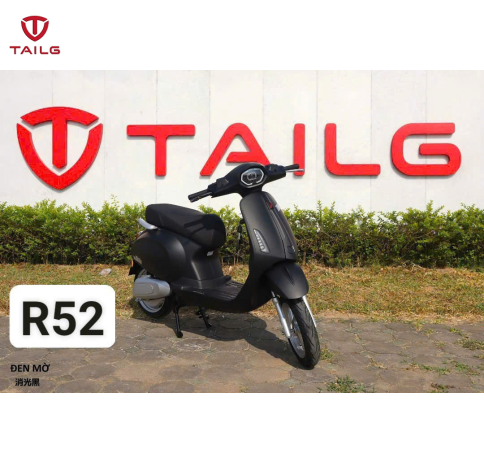 XE MÁY ĐIỆN TAILG R52