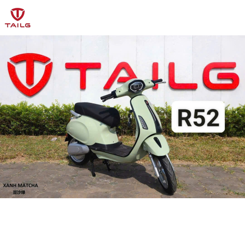 XE MÁY ĐIỆN TAILG R52