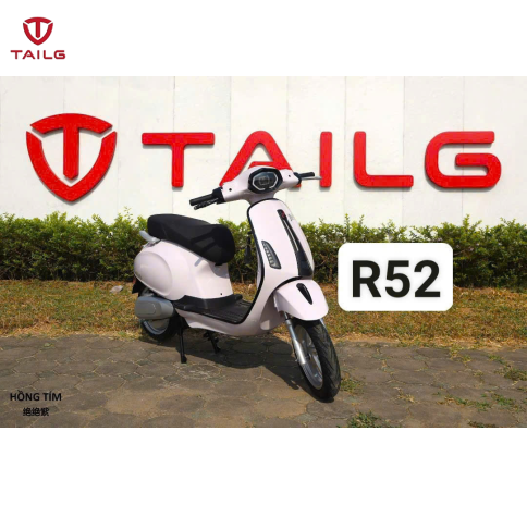 XE MÁY ĐIỆN TAILG R52