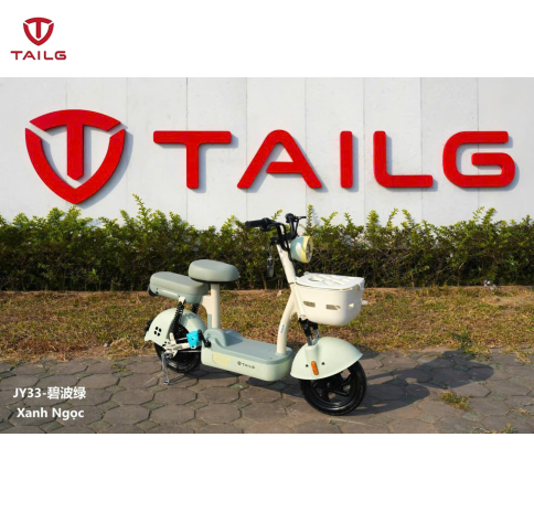 XE ĐẠP ĐIỆN TAILG JY33