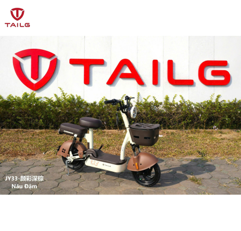 XE ĐẠP ĐIỆN TAILG JY33