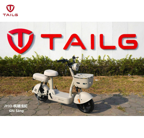 XE ĐẠP ĐIỆN TAILG JY33