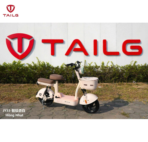 XE ĐẠP ĐIỆN TAILG JY33