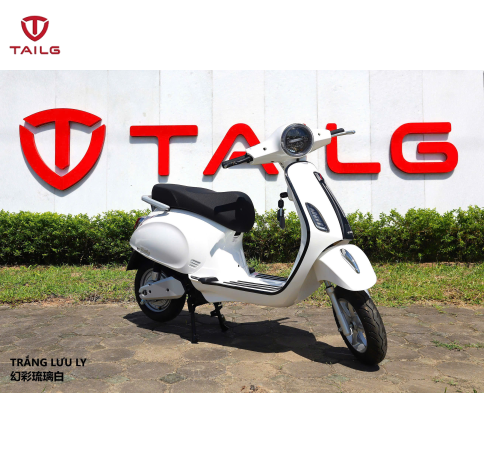 XE MÁY ĐIỆN TAILG R51