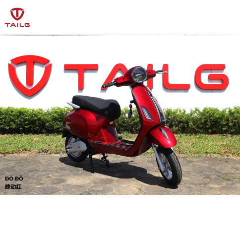XE MÁY ĐIỆN TAILG R51