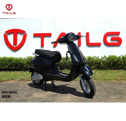 XE MÁY ĐIỆN TAILG R51