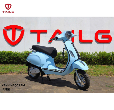 XE MÁY ĐIỆN TAILG R51