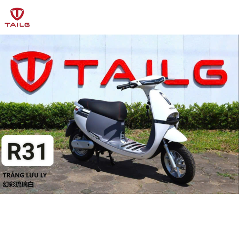 XE MÁY ĐIỆN TAILG R31