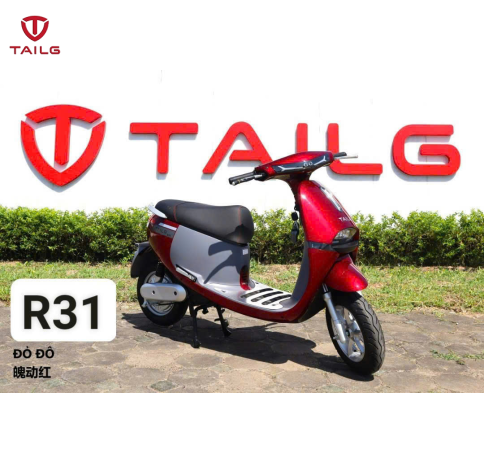 XE MÁY ĐIỆN TAILG R31