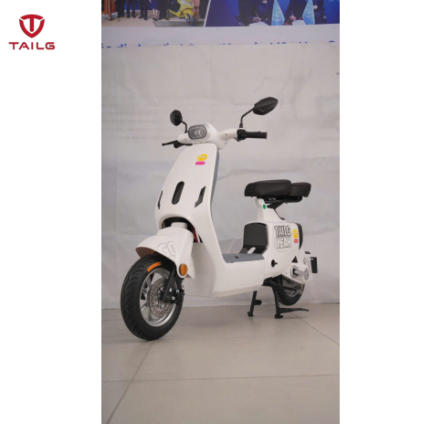 XE ĐẠP ĐIỆN TAILG GR55