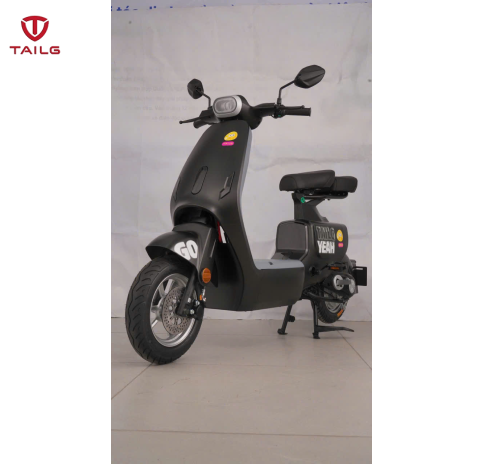 XE ĐẠP ĐIỆN TAILG GR55