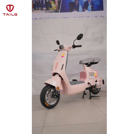XE ĐẠP ĐIỆN TAILG GR55